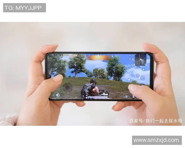 s15电竞和平精英V5战队控制策略深度解析与热点解读