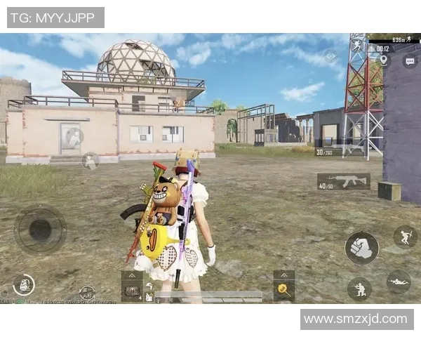 和平精英聚焦BLG团队协作的默契与战术配合探讨